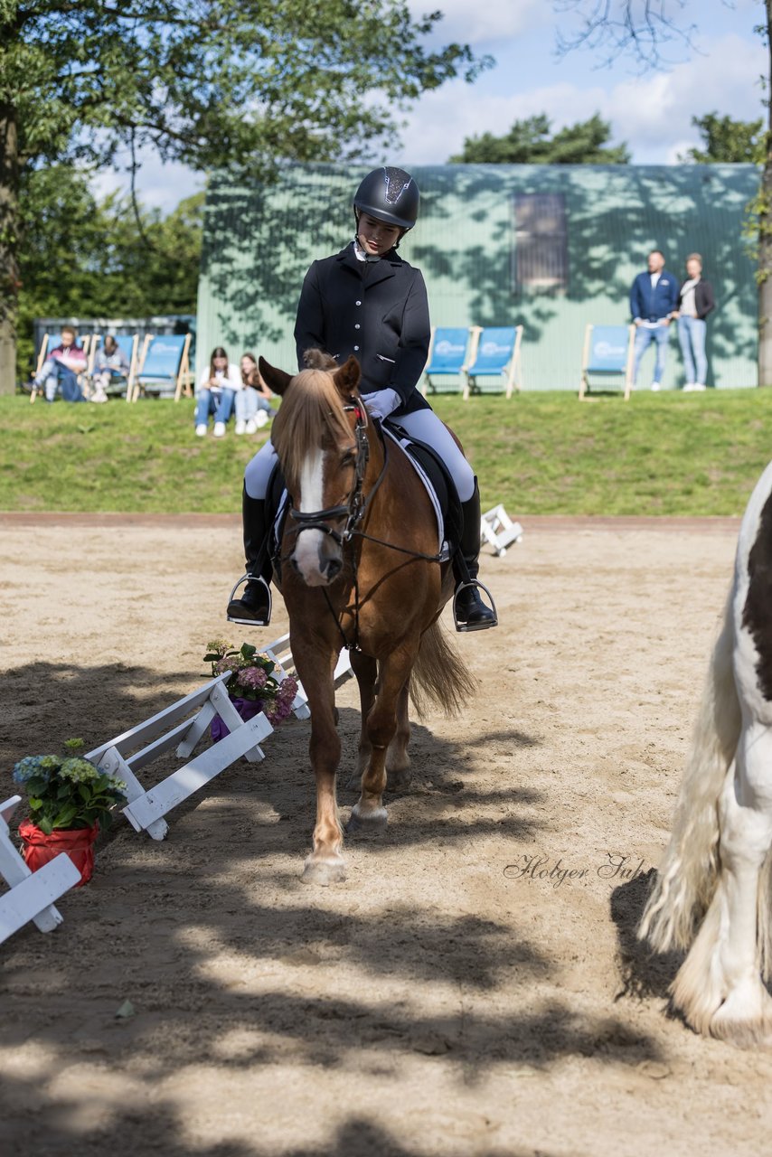 Bild 7 - Pony Akademie Turnier